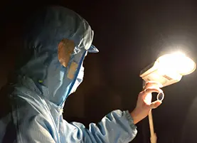 Cleanroom technician performing cosmetic inspection of optical glass under high-intensity halogen lamp to detect surface scratches
